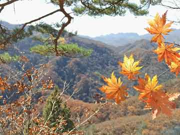 香港今晚六給彩開獎(jiǎng)結(jié)果7山,蛇、雞、牛、馬